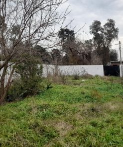 Lote en Paso del Rey